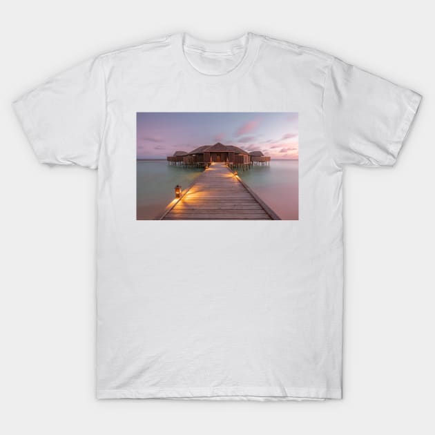 Ocean House T-Shirt by jswolfphoto